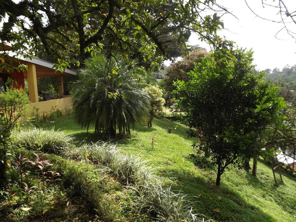 Aparthotel Villa Pacande & Rooms Pilas Room photo