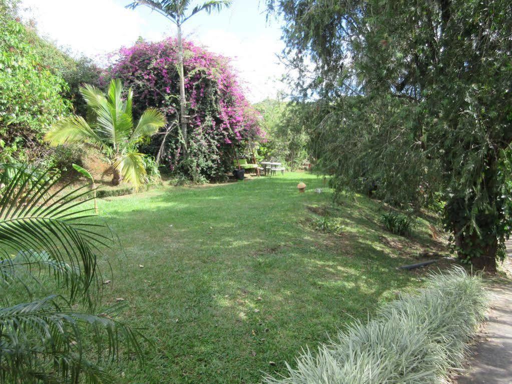 Aparthotel Villa Pacande & Rooms Pilas Exterior photo